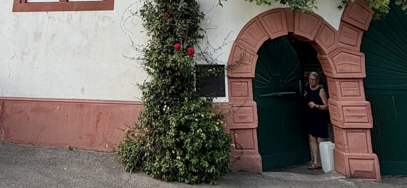 Frank John: Große Weine alter Schule